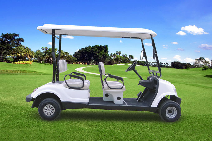 自由の4つの座席安全電気ゴルフおかしなカートは酸電池によってカスタマイズされるロゴを維持します 0